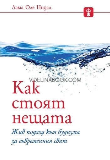 Как стоят нещата: Жив подход към будизма за съвременния свят