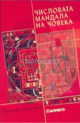 Числовата мандала на човека: Приложна нумерология