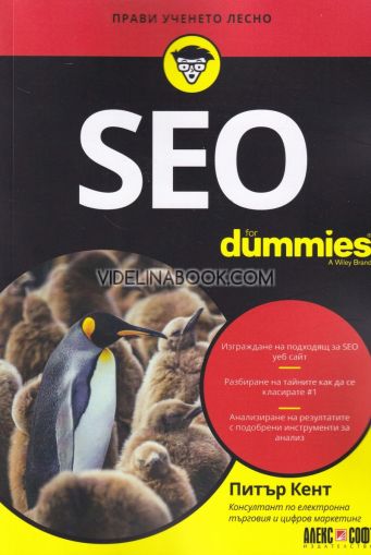 SEO for Dummies