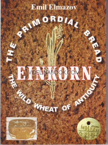 The primordial bread, einkorn, the wild wheat of antiquity, Emil Elmazov