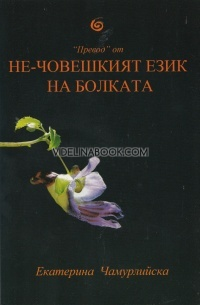 "Превод" от не-човешкият език на болката, Екатерина Чамурлийска