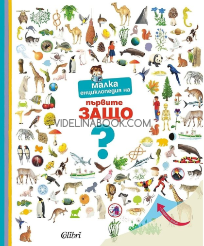 Малка енциклопедия на първите Защо, Емили Бомон