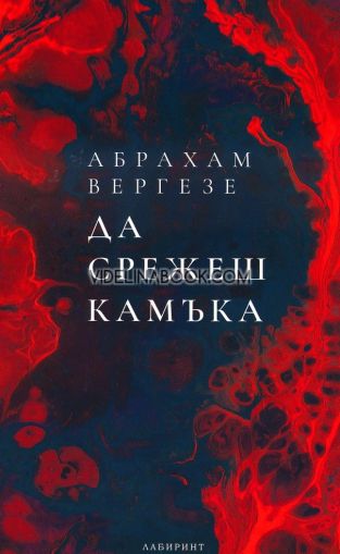 Да срежеш камъка, Абрахам Вергезе