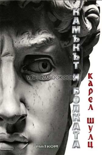 Камъкът и болката, Карел Шулц