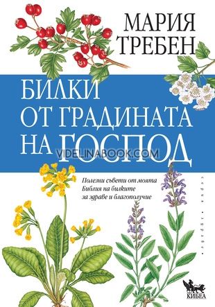 Билки от градината на Господ: Полезни съвети от моята Библия на билките за здраве и благополучие