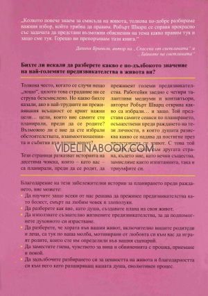 Храбри души. Сами ли избираме предизвикателствата в живота преди да се преродим?, Робърт Шварц