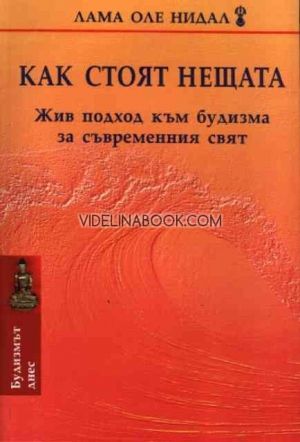 Как стоят нещата, Лама Оле Нидал