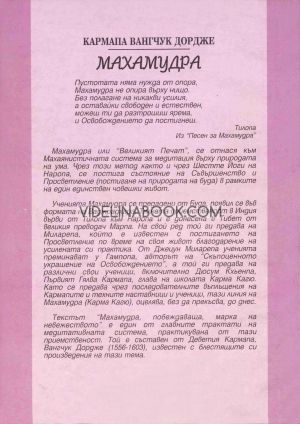 Махамудра, побеждаваща мрака и невежеството. Медитация на великия печат, Кармапа Вангчук Дордже