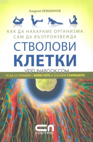 Как да накараме организма сам да възпроизвежда стволови клетки: За да се справим с болестите и забавим стареенето, Андрей Левшинов
