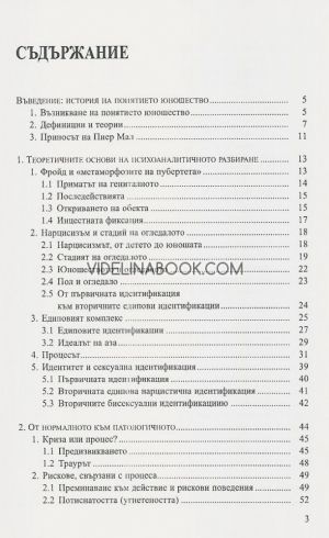 Юношеството, Патрик Деларош