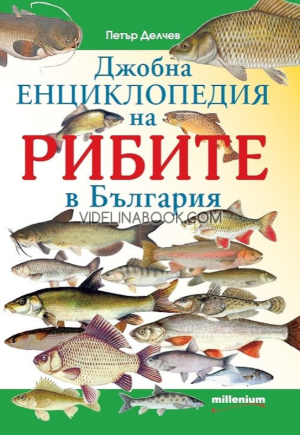 Джобна енциклопедия на рибите в България, Петър Делчев
