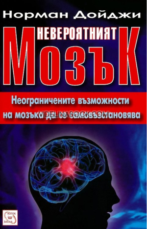 Невероятният мозък, Норман Дойджи