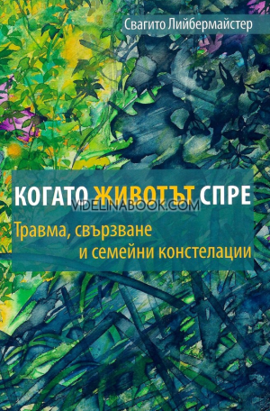 Когато животът спре, Свагито Лийбермайстер