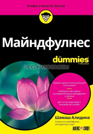 Майндфулнес For Dummies, Шамаш Алидина