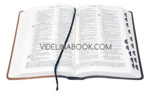 Библия - луксозно издание с двуцветна корица, Библия