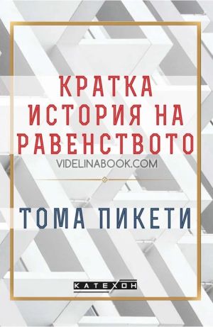 Кратка история на равенството, Тома Пикети