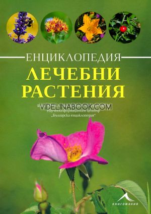 Лечебни растения: Енциклопедия, Авторски колектив