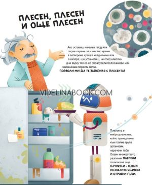 Голяма книга на експериментите, Матия Кривелини