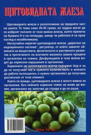 Щитовидната жлеза. Тайният страж на нашия организъм 
