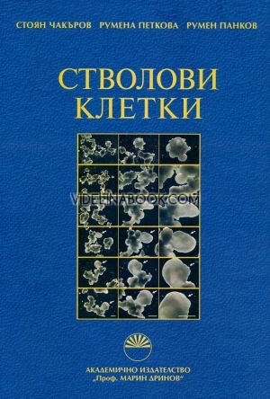 Стволови клетки