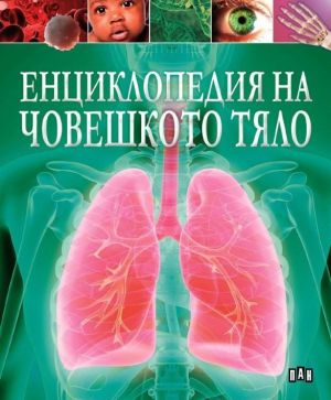 Енциклопедия на човешкото тяло, Клеър Хибърт