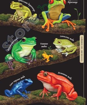 Тайнственият свят на природата: Пътеводител из миналото на нашата планета, Саския Гуин